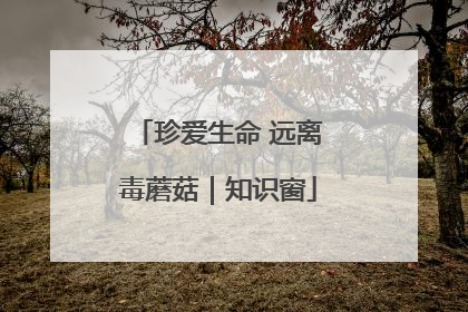 珍爱生命 远离毒蘑菇｜知识窗