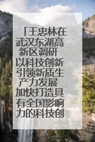 王忠林在武汉东湖高新区调研 以科技创新引领新质生产力发展 加快打造具有全国影响力的科技创新高地