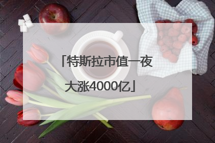 特斯拉市值一夜大涨4000亿