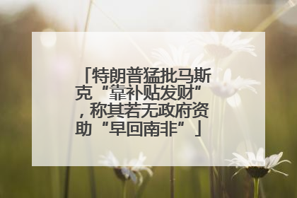特朗普猛批马斯克“靠补贴发财”，称其若无政府资助“早回南非”
