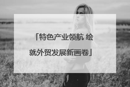 特色产业领航 绘就外贸发展新画卷
