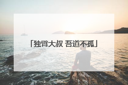 独臂大叔 吾道不孤
