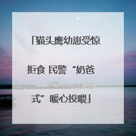 猫头鹰幼崽受惊拒食 民警“奶爸式”暖心投喂