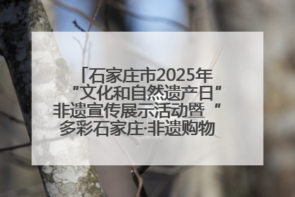 石家庄市2025年“文化和自然遗产日”非遗宣传展示活动暨“多彩石家庄·非遗购物节”倒计时1天