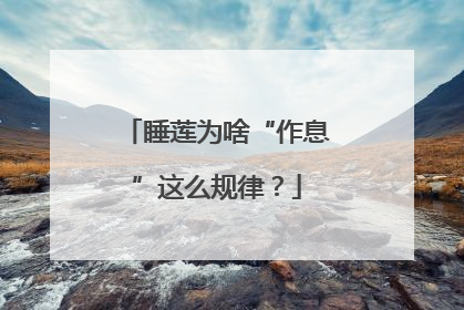 睡莲为啥“作息”这么规律？