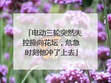 电动三轮突然失控撞向花坛，危急时刻他冲了上去