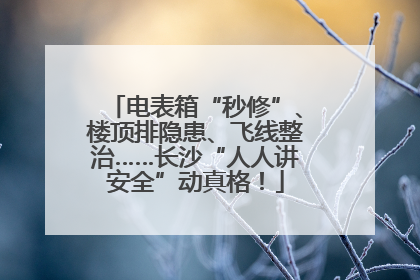 电表箱“秒修”、楼顶排隐患、飞线整治……长沙“人人讲安全”动真格！