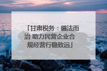甘肃税务：循法而治 助力民营企业合规经营行稳致远