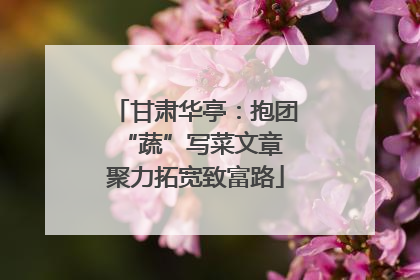 甘肃华亭：抱团“蔬”写菜文章 聚力拓宽致富路