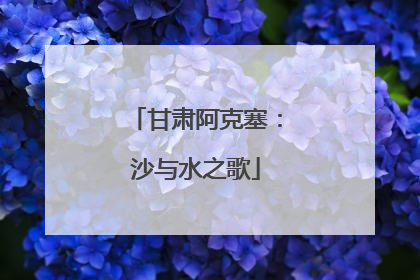 甘肃阿克塞：沙与水之歌