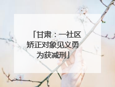 甘肃：一社区矫正对象见义勇为获减刑