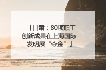 甘肃：80项职工创新成果在上海国际发明展“夺金”