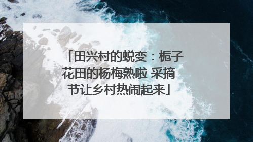 田兴村的蜕变：栀子花田的杨梅熟啦 采摘节让乡村热闹起来