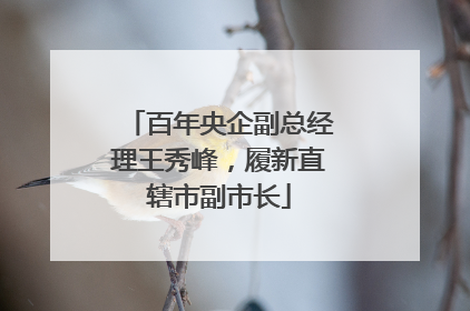 百年央企副总经理王秀峰，履新直辖市副市长