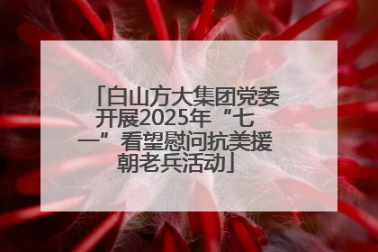 白山方大集团党委开展2025年“七一”看望慰问抗美援朝老兵活动