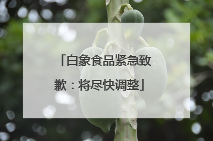 白象食品紧急致歉：将尽快调整