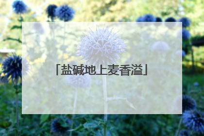 盐碱地上麦香溢