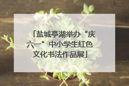 盐城亭湖举办“庆六一”中小学生红色文化书法作品展