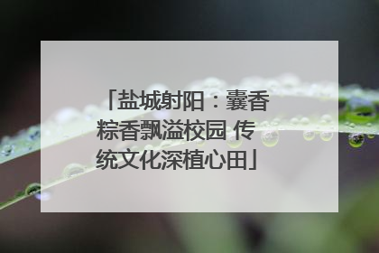 盐城射阳：囊香粽香飘溢校园 传统文化深植心田