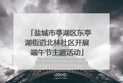 盐城市亭湖区东亭湖街道北林社区开展端午节主题活动