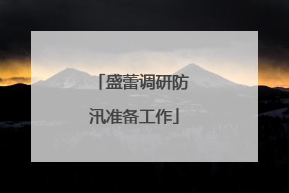 盛蕾调研防汛准备工作
