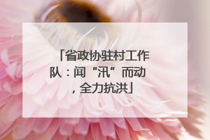 省政协驻村工作队：闻“汛”而动，全力抗洪