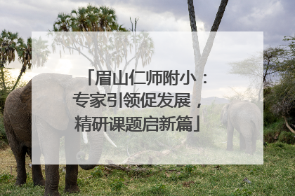 眉山仁师附小：专家引领促发展，精研课题启新篇