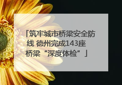 筑牢城市桥梁安全防线 德州完成143座桥梁“深度体检”