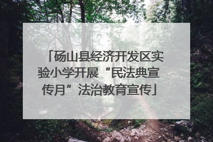 砀山县经济开发区实验小学开展“民法典宣传月”法治教育宣传