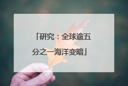 研究：全球逾五分之一海洋变暗