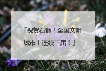 祝贺石狮！全国文明城市！连续三届！
