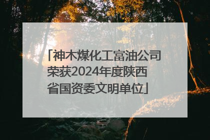 神木煤化工富油公司荣获2024年度陕西省国资委文明单位