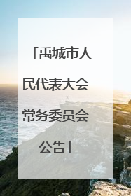 禹城市人民代表大会常务委员会公告