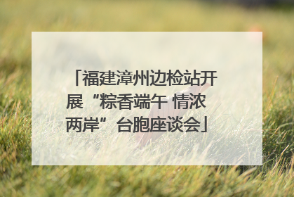 福建漳州边检站开展“粽香端午 情浓两岸”台胞座谈会