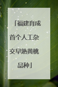福建育成首个人工杂交早熟黄桃品种