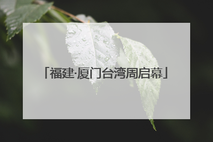 福建·厦门台湾周启幕