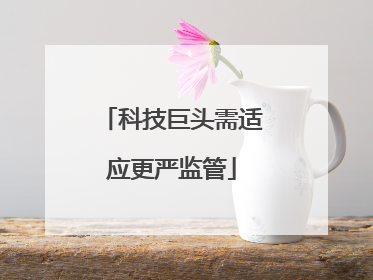 科技巨头需适应更严监管