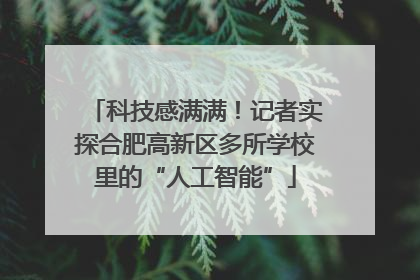 科技感满满！记者实探合肥高新区多所学校里的“人工智能”