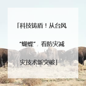 科技铸盾！从台风“蝴蝶” 看防灾减灾技术新突破