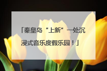 秦皇岛“上新”一处沉浸式音乐度假乐园！