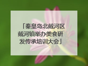 秦皇岛北戴河区戴河镇举办美食研发传承培训大会