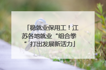 稳就业保用工！江苏各地就业“组合拳”打出发展新活力