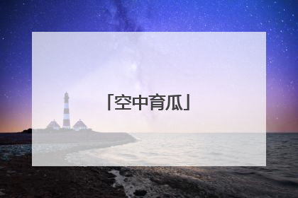 空中育瓜