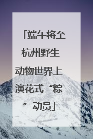端午将至 杭州野生动物世界上演花式“粽”动员