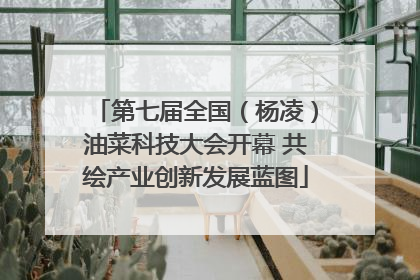 第七届全国（杨凌）油菜科技大会开幕 共绘产业创新发展蓝图