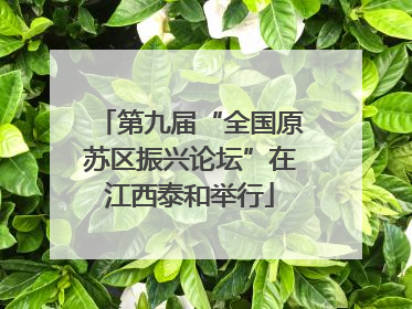 第九届“全国原苏区振兴论坛”在江西泰和举行