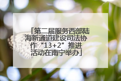 第二届服务西部陆海新通道建设司法协作“13+2”推进活动在南宁举办