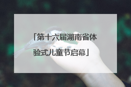 第十六届湖南省体验式儿童节启幕