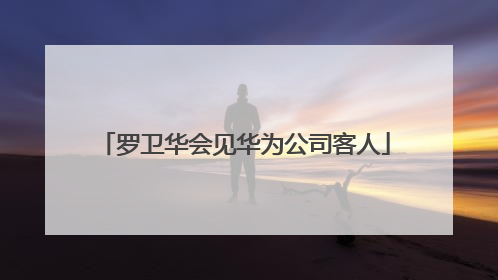 罗卫华会见华为公司客人