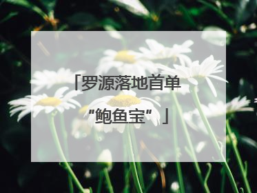 罗源落地首单“鲍鱼宝”